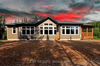 Detached in Lake of Bays