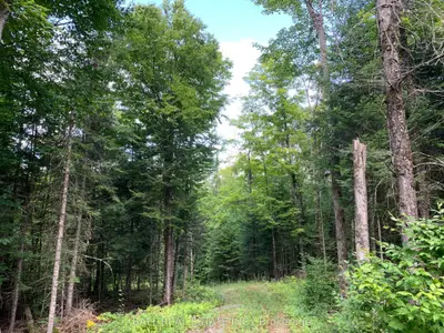 203 North Baptiste Lake Road, Hastings Highlands, On K0l 2s0