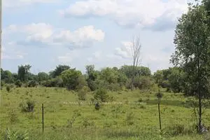 Vacant Land in Kawartha Lakes