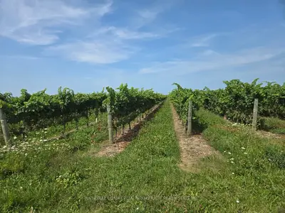 310 Eastchester Avenue, Niagara-on-the-lake, On L0s 1j0