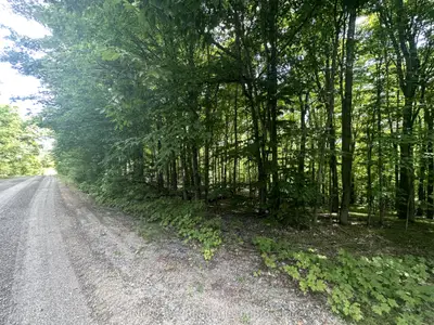 0 Peel Road, Highlands East, On K0l 2a0