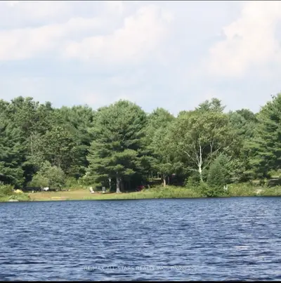 Vacant Land in Havelock-Belmont-Methuen