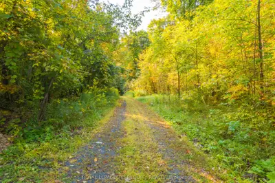 Vacant Land in Havelock-Belmont-Methuen