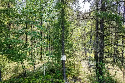 Vacant Land in Black River Matheson