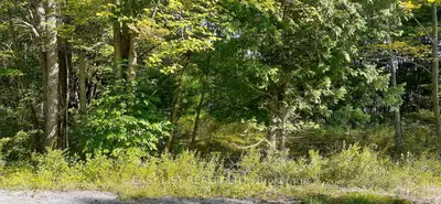 Vacant Land in Muskoka Lakes