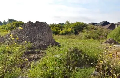 Lot 62 Bouw Place, Dutton/dunwich, On N0l 1j0