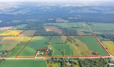 Detached in Erin