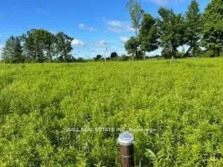 2441 10th Line, Asphodel-norwood, On K0l 2v0