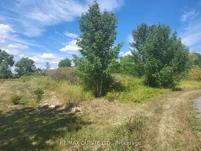 Beside 55 North Marysburgh Court, Prince Edward County, On K0k 2t0