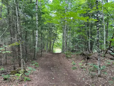 Vacant Land in Trent Lakes