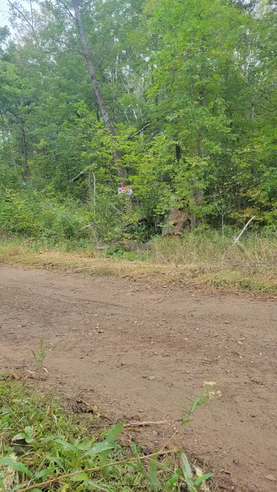 Vacant Land in Addington Highlands