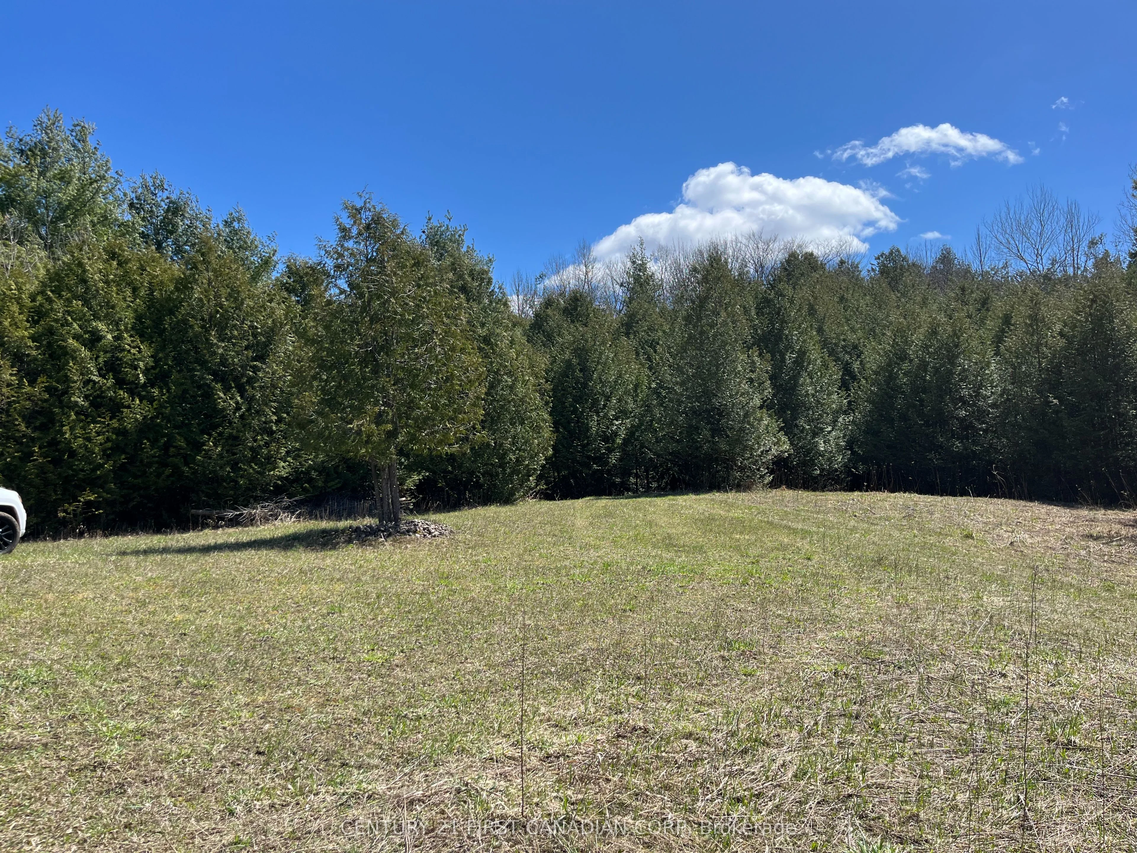 Vacant Land in West Grey