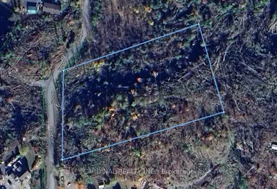 Vacant Land in Tweed