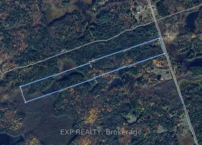 Vacant Land in Tweed