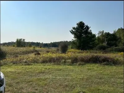 Vacant Land in Kawartha Lakes