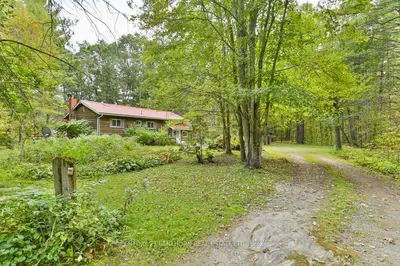 Detached in Tweed