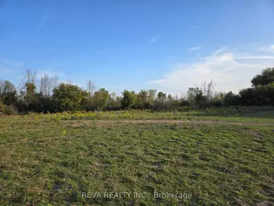 782 Shannon Road, Tyendinaga, On K0k 2v0