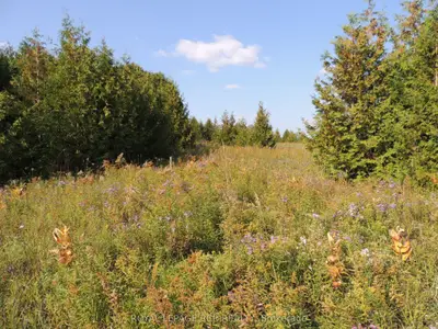 Vacant Land in West Grey