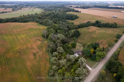 Farm in Blandford-Blenheim