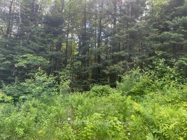3046 Old Muskoka Road, Huntsville, ON P0B 1M0