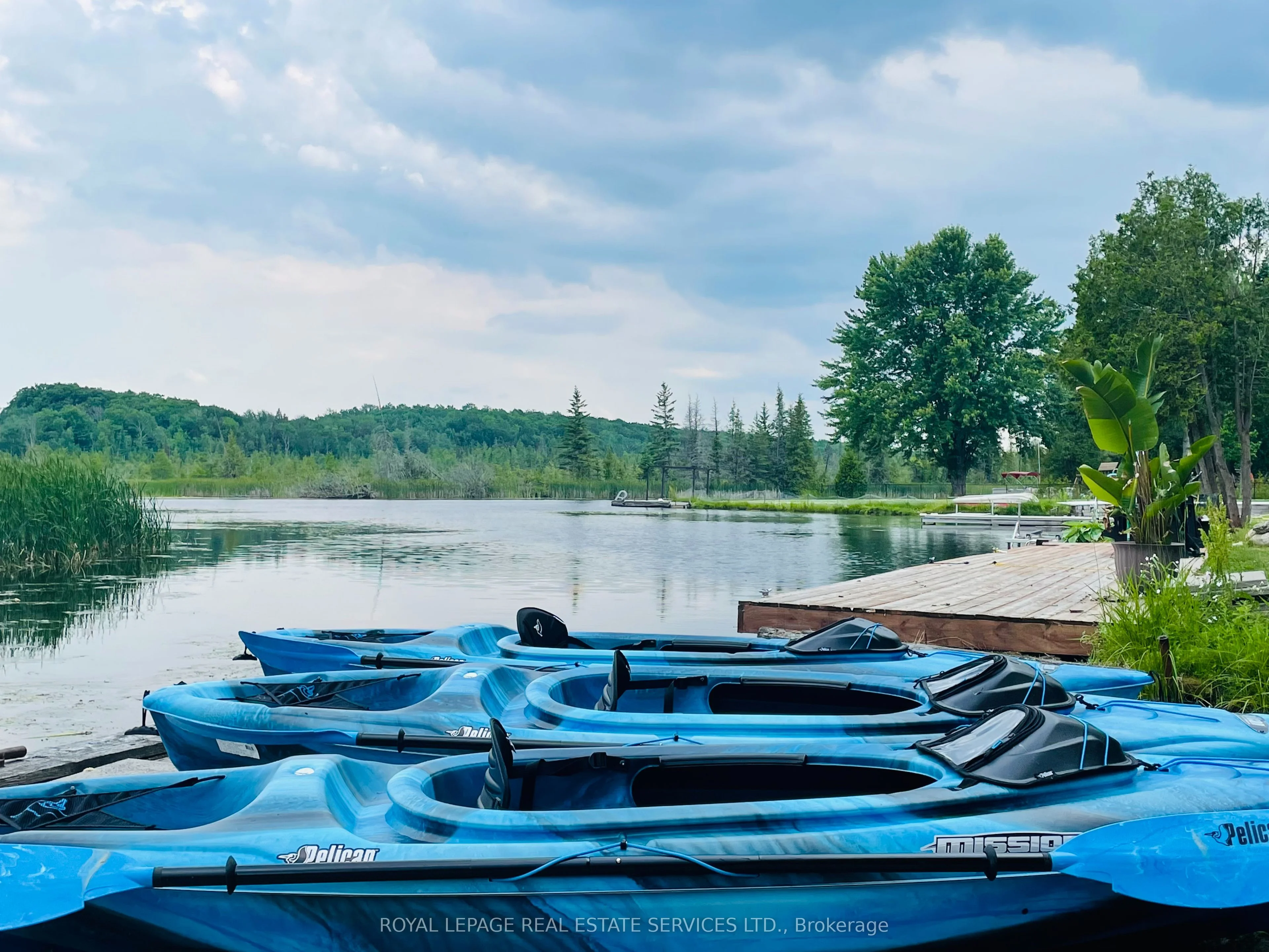 9 Trent View Road, Kawartha Lakes, On K0m 2b0