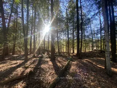 Vacant Land in Minden Hills
