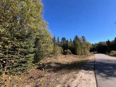 Vacant Land in Hastings Highlands