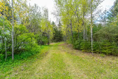 0 The Avenue, Kawartha Lakes, On, K0m 2a0