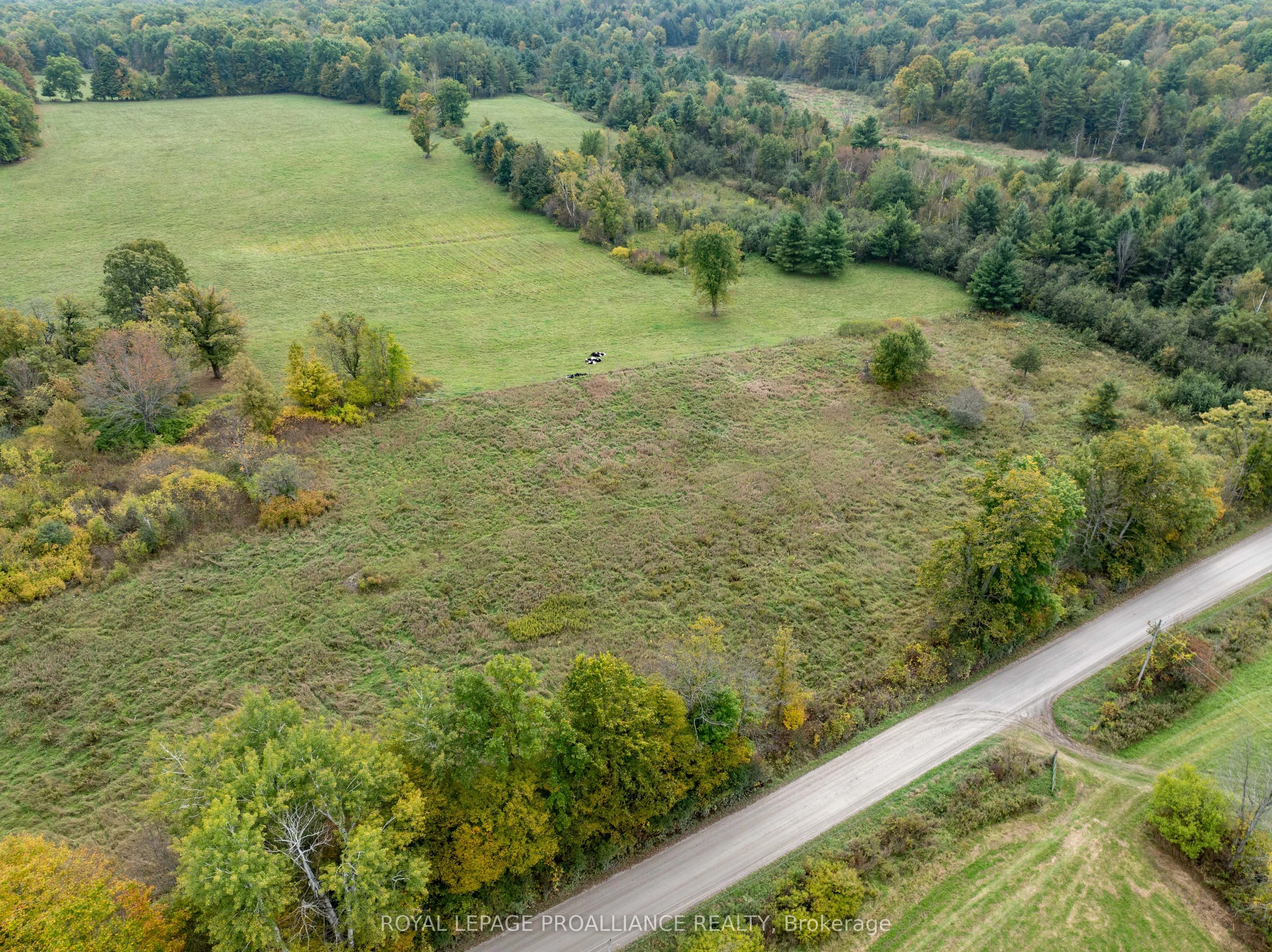 Pt 4 Mcandrews Road, Rideau Lakes, On K0g 1x0