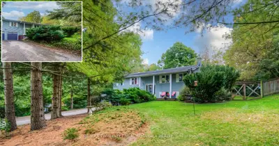 Detached in Brant