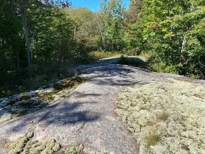 Vacant Land in Gravenhurst