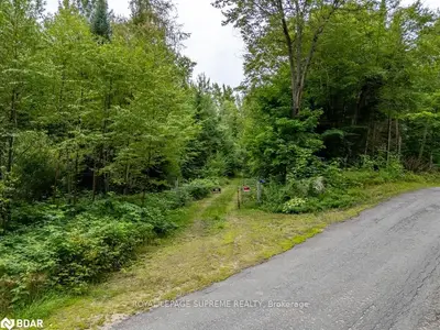 153 Mainhood Road, Huntsville, On P0b 1m0