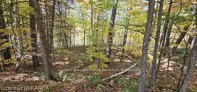 0000 Arden Road, Stone Mills, On K0k 3g0