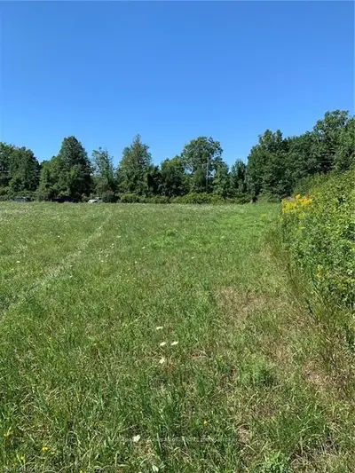 188 Cowdy Road, Stone Mills, On K0k 1z0