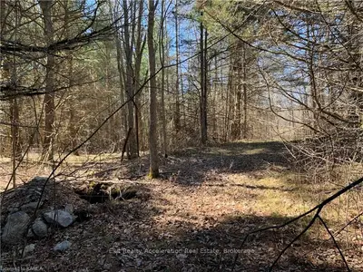 Pt Lt 15 (part 1) Pine Grove Road, Greater Napanee, On K0k 2l0