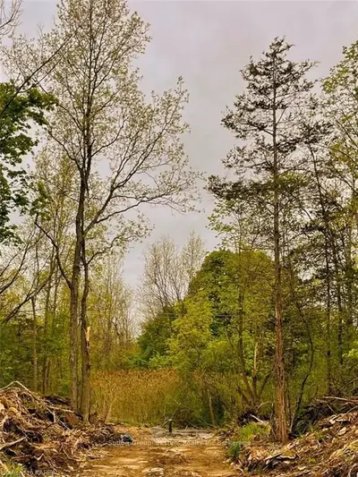 1345 John F. Scott Road, Kingston, On K7l 4v3