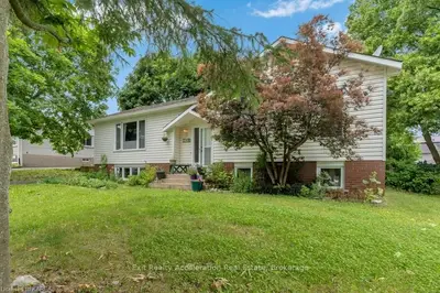 Detached in Loyalist