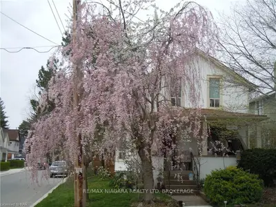 35 Shotwell Street, Welland, On L3c 1n9