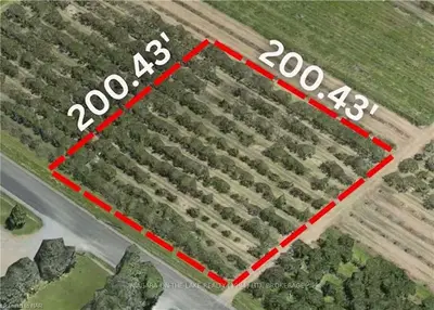 935 Concession 2 Road, Niagara-on-the-lake, On L0s 1j0