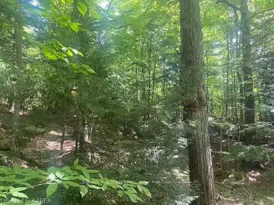 Vacant Land in Rideau Lakes