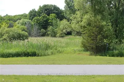 Vacant Land in Front of Yonge