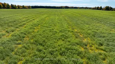 Vacant Land in Grey Highlands