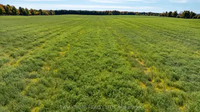 Vacant Land in Grey Highlands