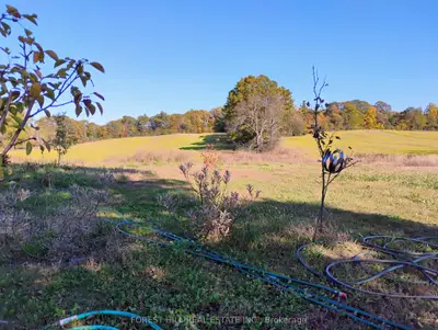 914 Sandy Hook Road, Kawartha Lakes, On L0a 1k0