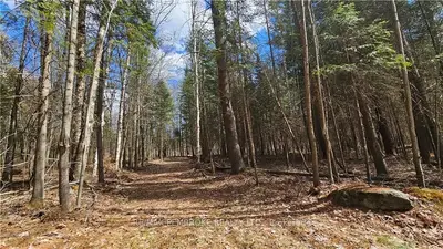000 Walford Road, Laurentian Valley, On K8a 6w5