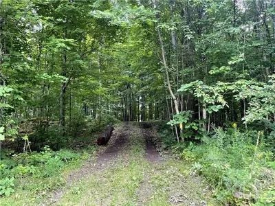 1370 Rae Road, Mississippi Mills, On K0a 1a0