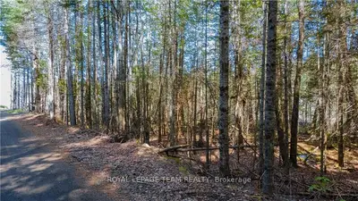 20352 Highway 60, Madawaska Valley, On K0j 1b0