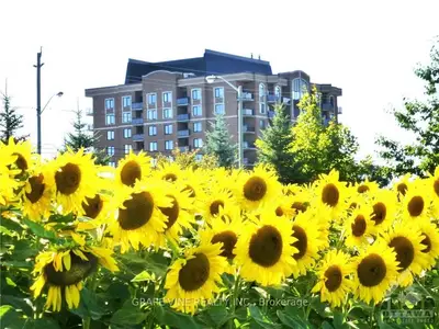 310 Central Park Drive 9e, Carlington - Central Park, On K2c 4g4