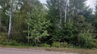 Ptlt 3 Con 9 Munro Street, Laurentian Hills, On K0j 1j0