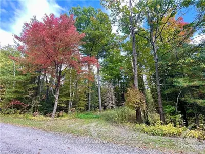 81 Carnegie Crescent, Greater Madawaska, On K0j 1h0